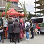 Instalan una mesa de Todos Santos y elevan rezos por la fauna silvestre de La Paz