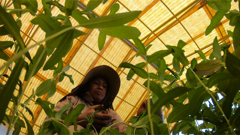 Gobernación de La Paz impulsa acciones ambientales con atención en fiscalización, educación y reforestación