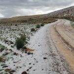 Gobernación paceña se apresta a atender a los municipios afectados por desastres naturales